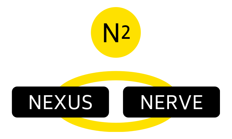 N² Framework